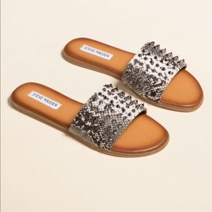 Steve Madden Farryn Flat Sandal